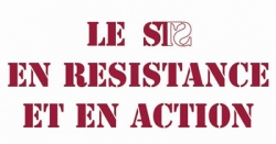 Le STS en résistance et en action